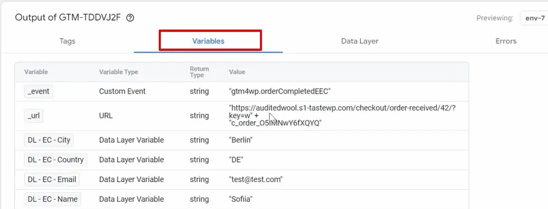 Data Layer Variables