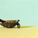 نرخ تبدیل گوگل ادز