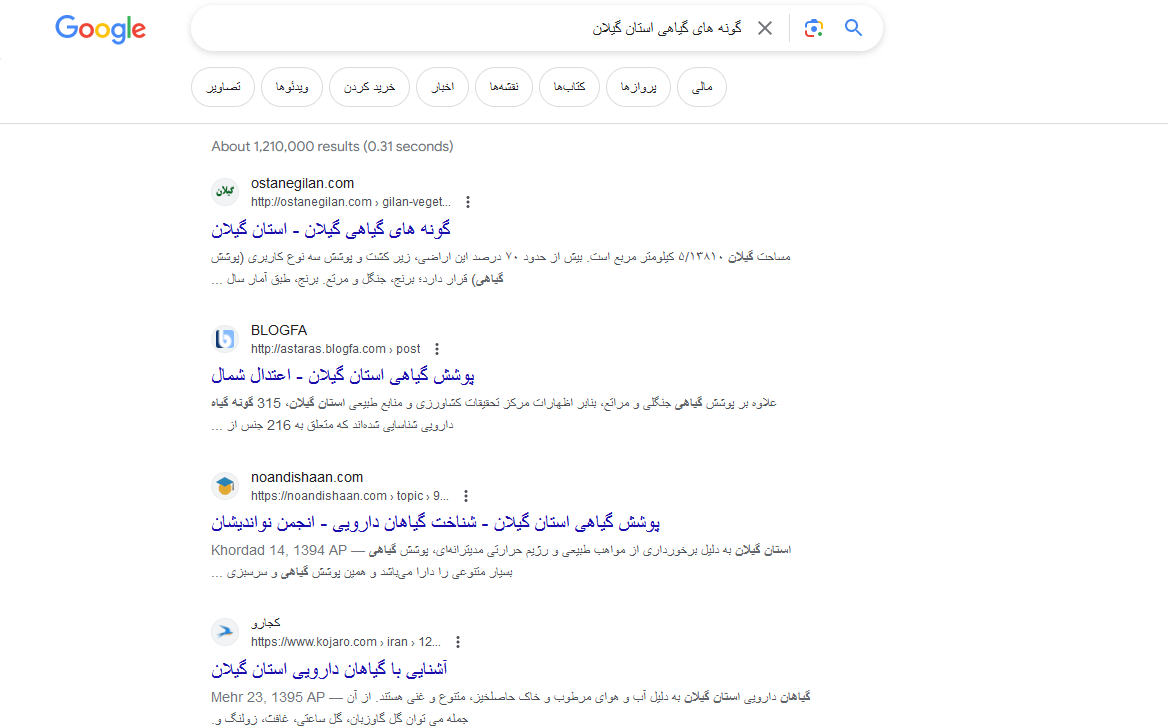نتایج جستجوی ارگانیک در سئو