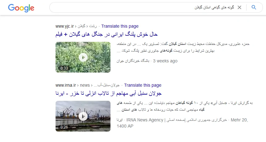 Untitled 06 - سئو چیست و چرا مهم است؟