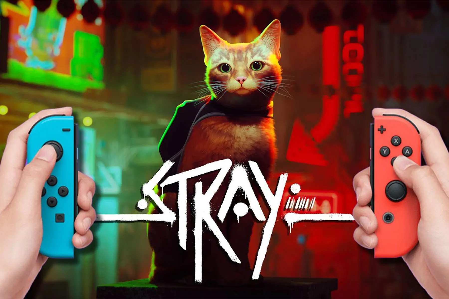 Stray