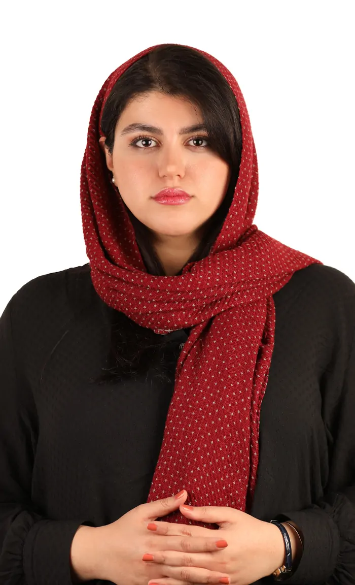 Layer 3 5 1 1 - درباره ما