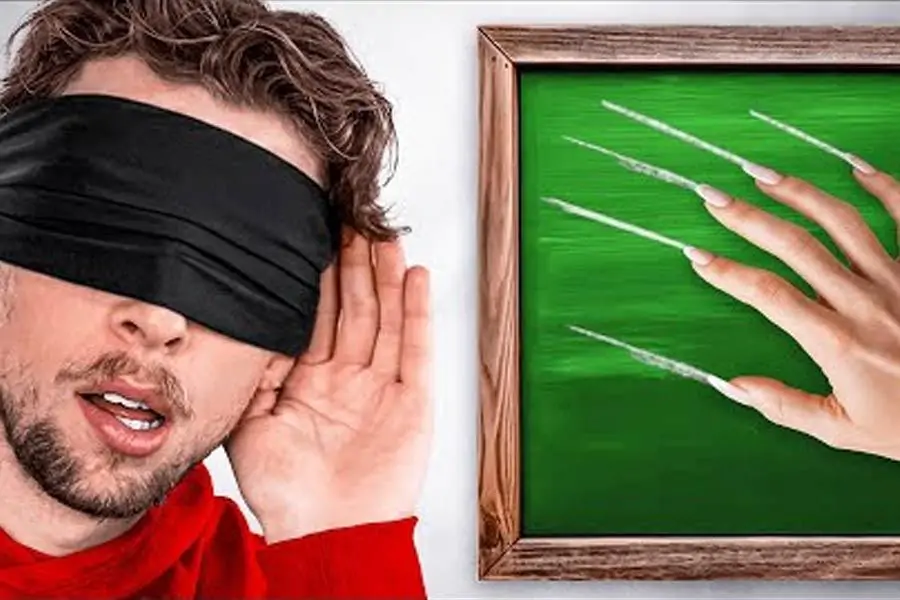 چالش حدس صدا